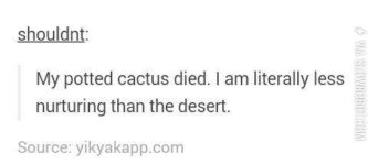 When+your+cactus+dies