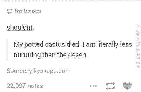 When+your+cactus+dies