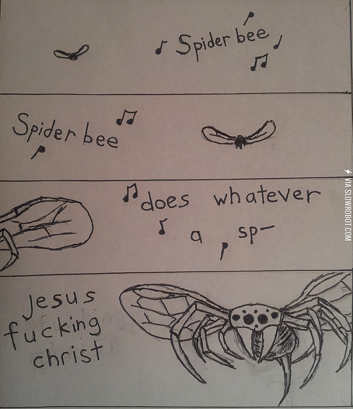 Spider+bee