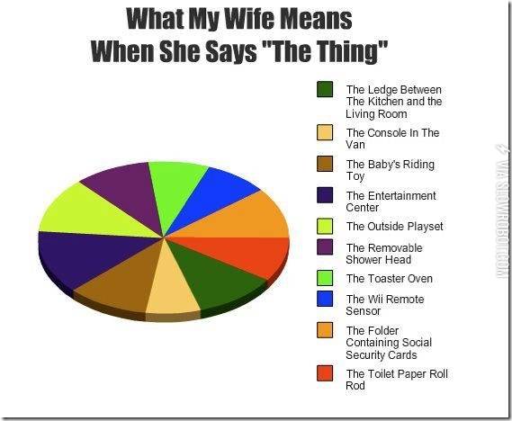 Wife meaning. Woman Logic.