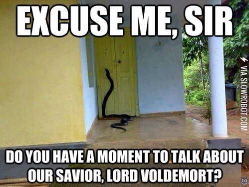 Our+savior%2C+Lord+Voldemort.