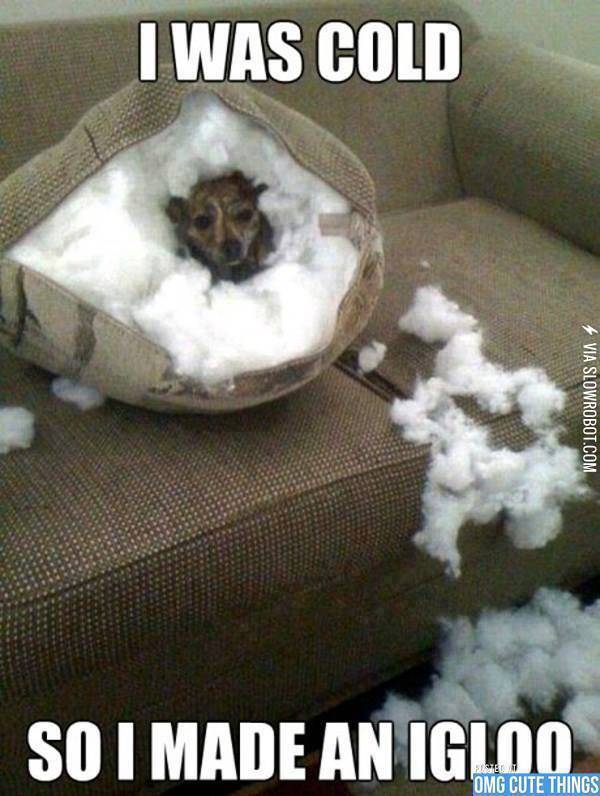 I+couldn%26%238217%3Bt+be+mad+at+that+dog+%3A%29