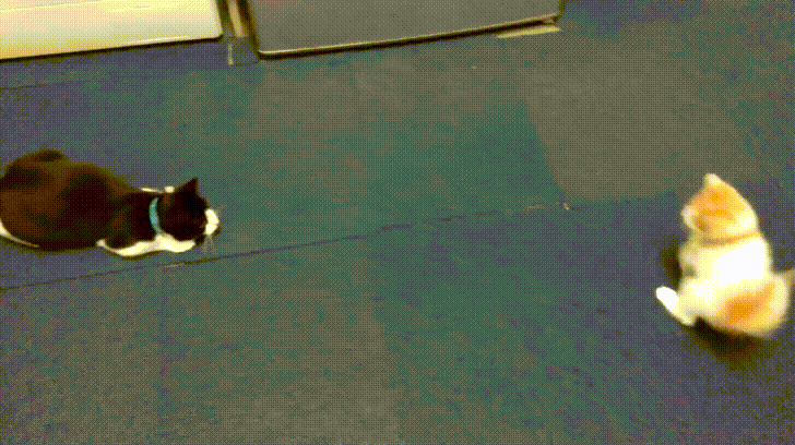 When+they+call+your+bluff%26%238230%3B