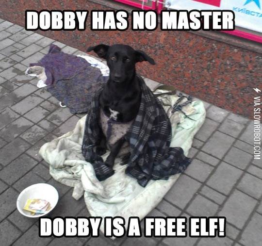 Dobby+is+a+free+elf%21