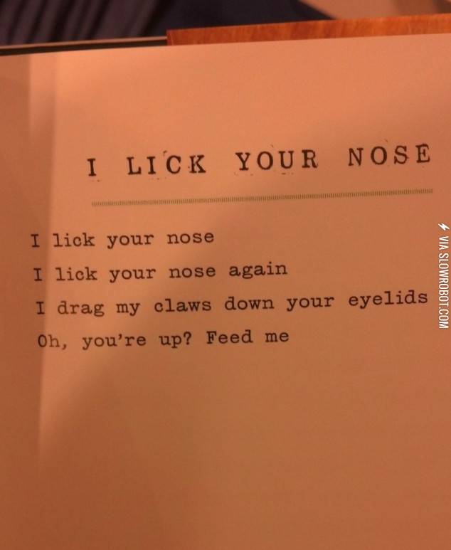 Poem+by+a+Hungry+Cat