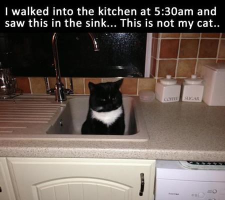 WHAT+YEAR+IS+IT%3F%21