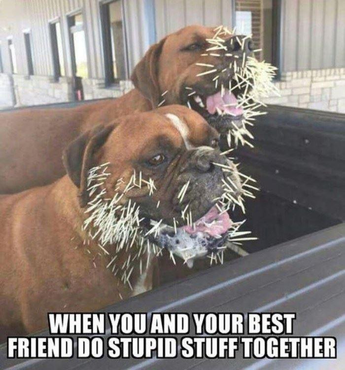 Doing+Stupid+Things+Together