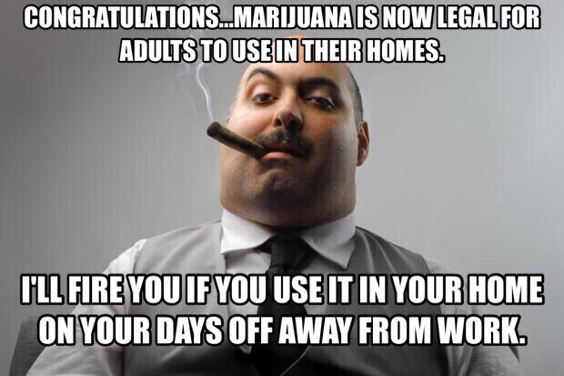 CONGRATULATIONS+CALIFORNIA+ON+YOUR+VICTORY+WITH+LEGAL+CANNABIS%26%238230%3B.%21%21+AND+NOW+A+WORD+FROM+YOUR+EMPLOYER%26%238230%3B.