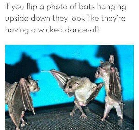 Dancing+for+the+evil+one.