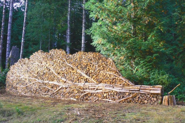 This+firewood+was+stacked+to+look+like+a+tree