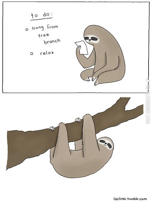 A+sloth%26%238217%3Bs+life.