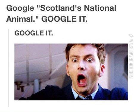 Google+%26%238220%3BScotland%26%238217%3Bs+National+Animals.%26%238221%3B