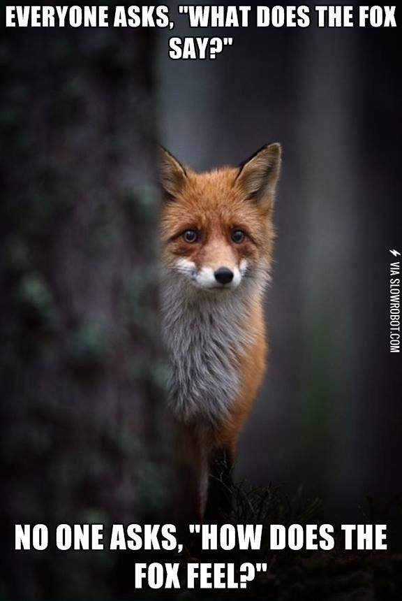 How+does+the+fox+feel%3F