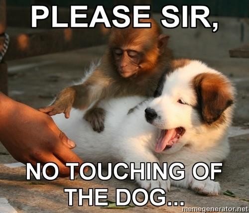 Do+NOT+touch+the+Dog%21
