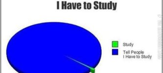 Things+I+do+when+I+have+to+study.