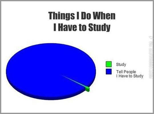 Things+I+do+when+I+have+to+study.