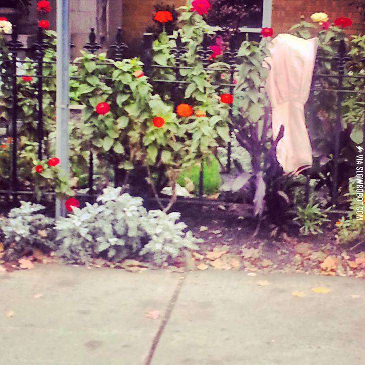 Lets+go+for+a+walk%26%238230%3B+lets+see+what+we+can+see