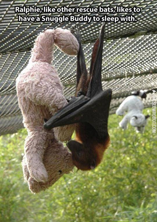 Upside-Down+Snuggle+Buddy