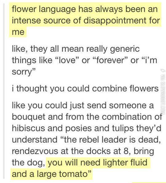 Redefining+Flower+Language