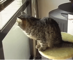 Yeah+Comfortable%26%238230%3B%21