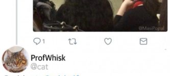 ProfWhisk