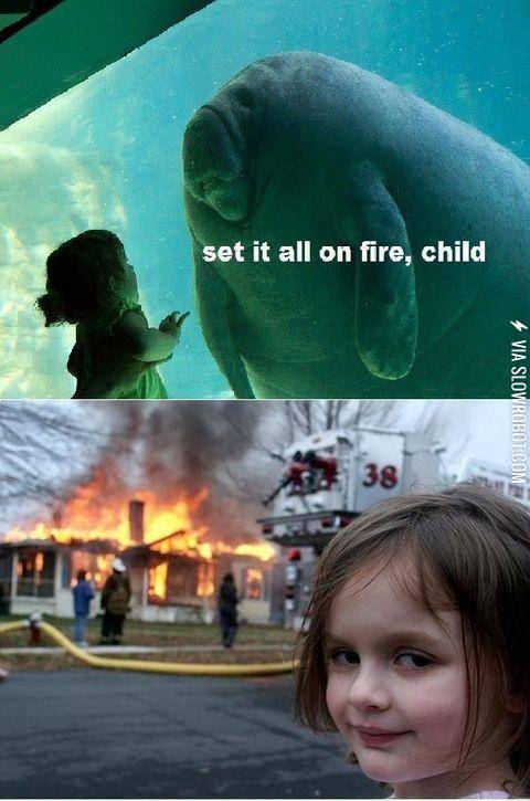 Did+I+do+well+Lord+Manatee%3F