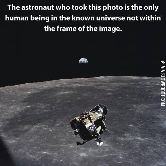 The+Only+Creature+Who+Is+Not+In+The+Picture