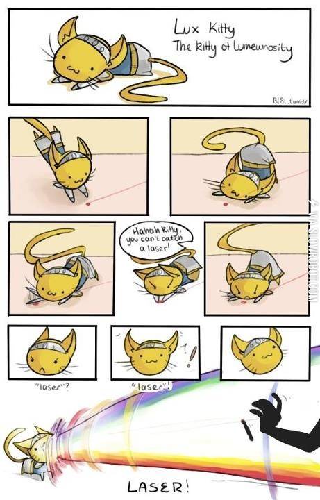Lux+Kitty