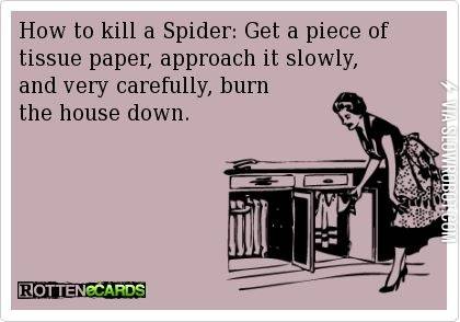 How+to+kill+a+spider.