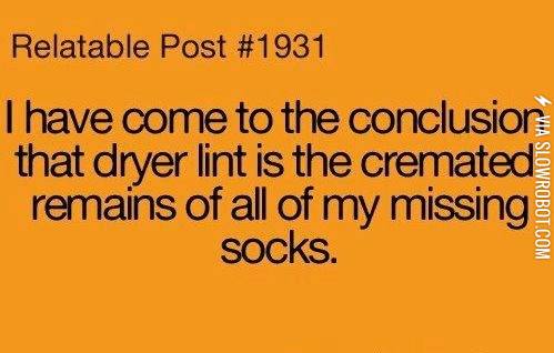 The+truth+about+dryer+lint
