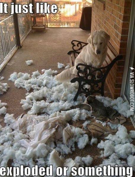 It+Definitely+Exploded%26%238230%3B