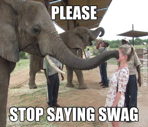 How+I+feel+about+people+that+use+the+word+%26%238220%3Bswag.%26%238221%3B