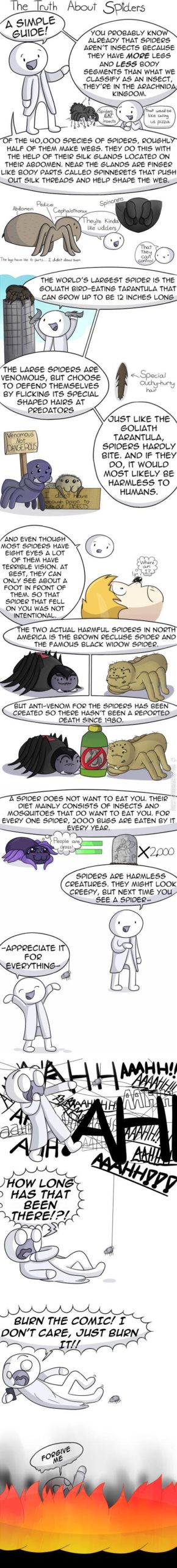 The+truth+about+spiders.