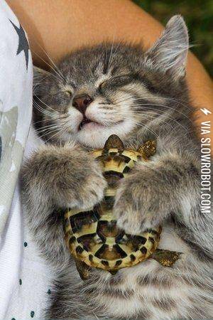 HE+HAS+A+LITTLE+BUDDY+OMG