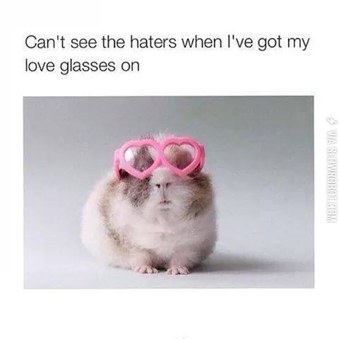 Can%26%238217%3Bt+see+the+haters