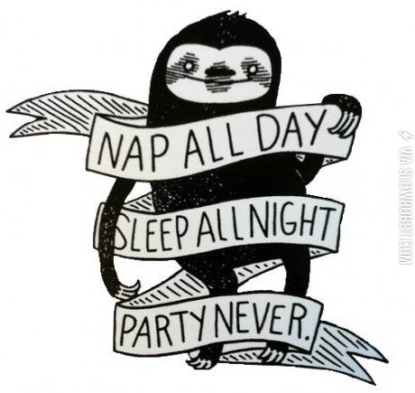 Sloth%2C+my+spirit+animal.