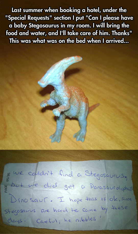 Very+Special+Request