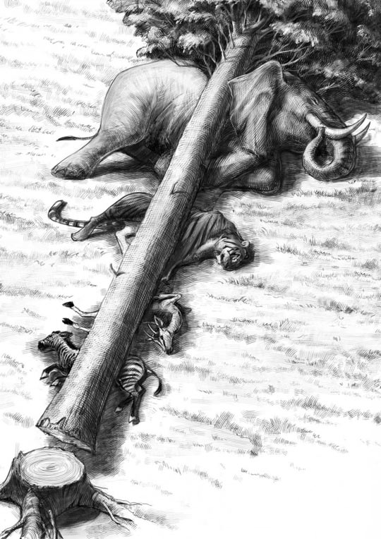 It%26%238217%3Bs+Never+Just+A+Tree