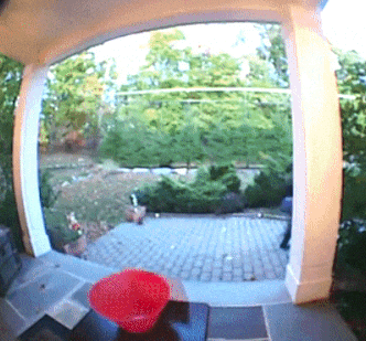 Gift+of+the+candy+lady