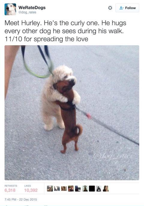 Good+job%2C+Hurley%21