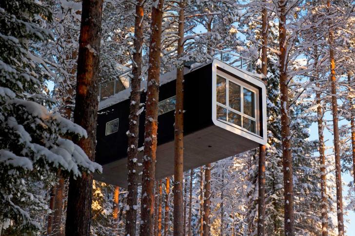 Cabin+in+the+woods