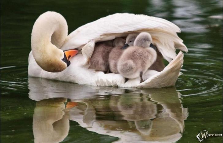 Is+everyone+asleep%3F