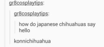 Japanese+chihuahuas