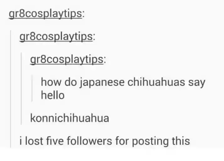 Japanese+chihuahuas