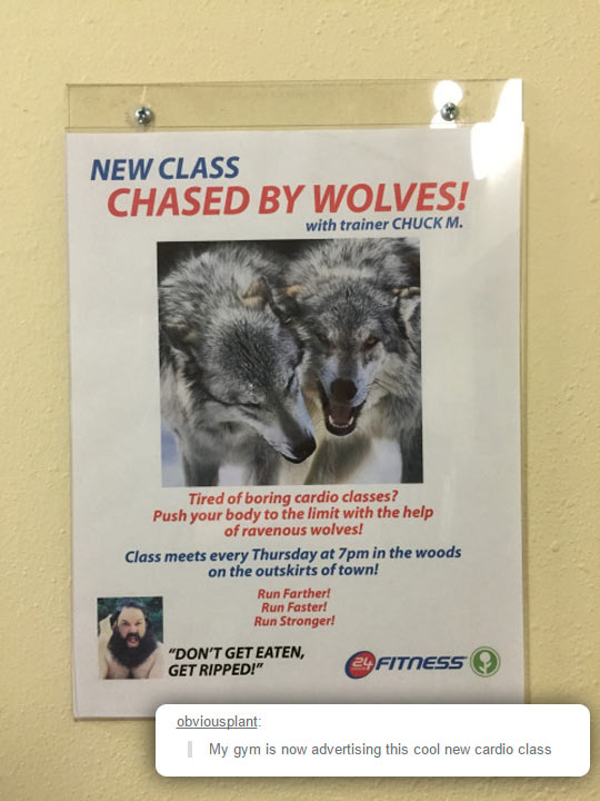 Chased+by+Wolves%21