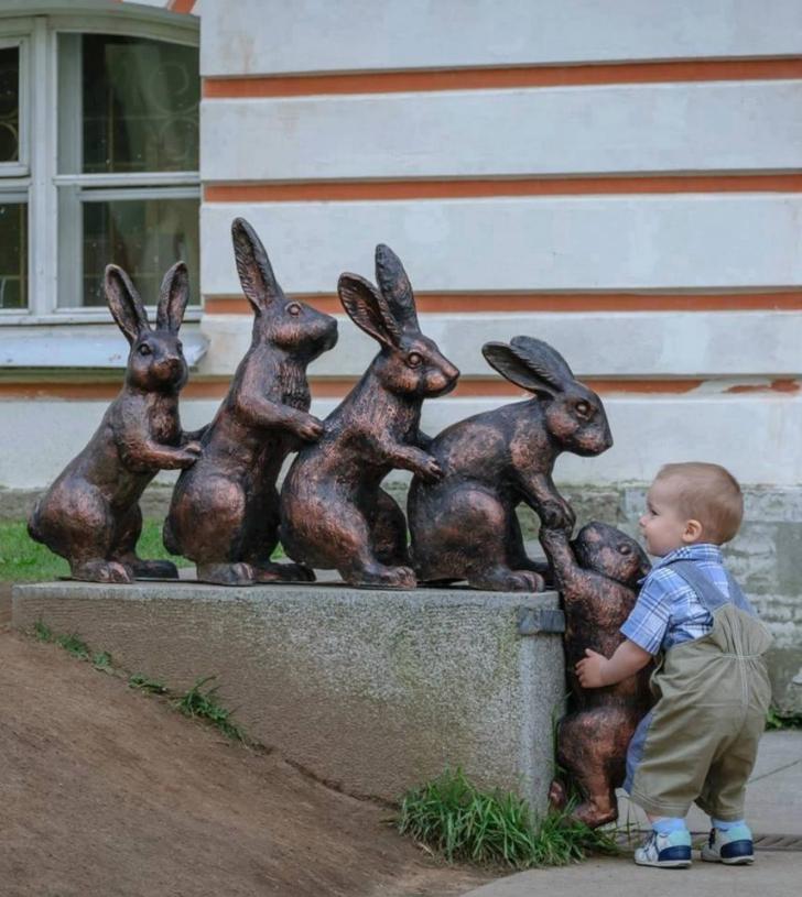 This+little+boy+stopped+to+try+to+help+a+bunny+join+the+rest+of+his+family.