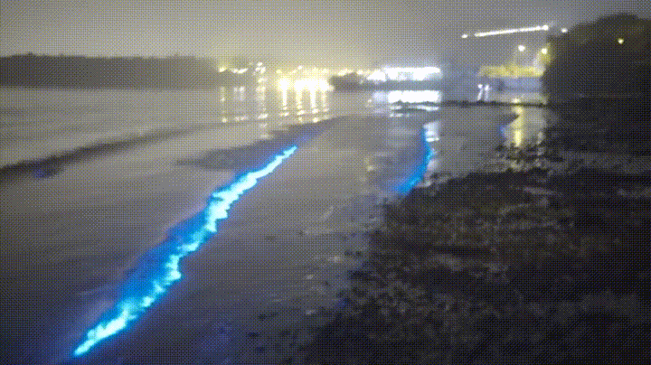 The+shimmering+shores+of+the+Maldives