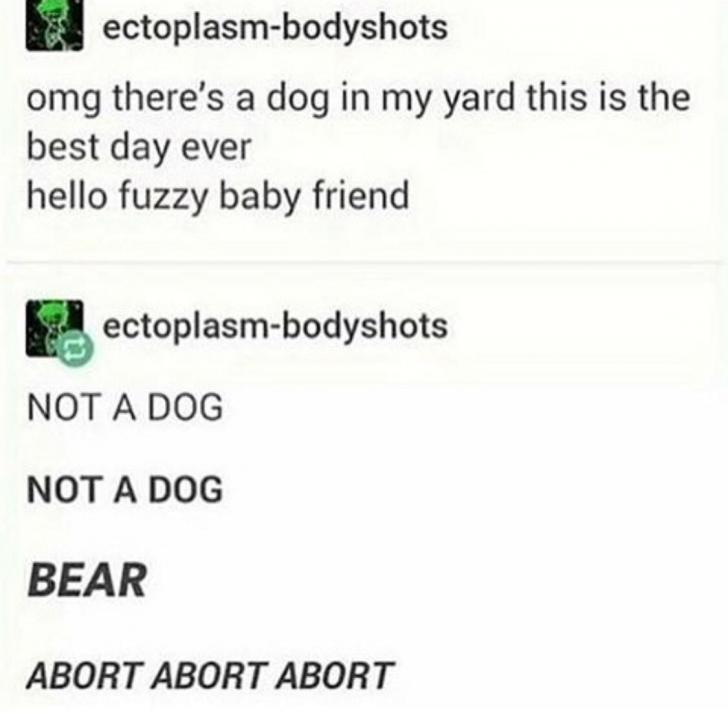 Bear+b+o+y+e+is+not+your+friend.