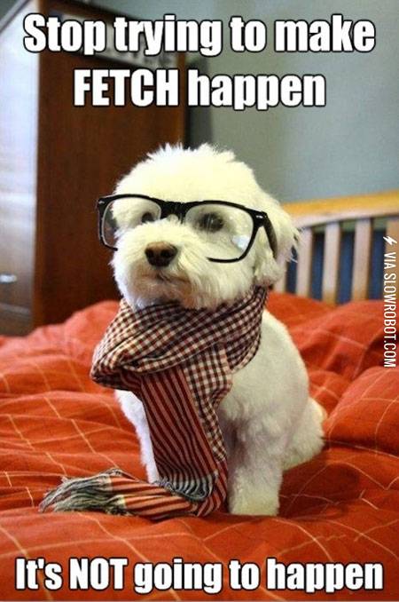 Stop+trying+to+make+fetch+happen.