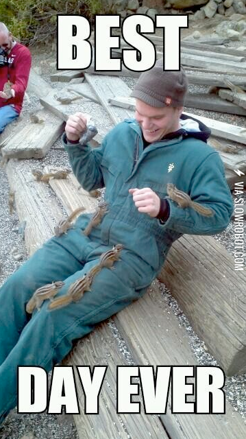 Feed+the+animals+they+said.+It+will+be+fun+they+said%26%238230%3B